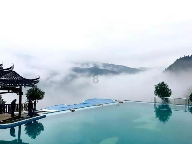 白化摇篮曲